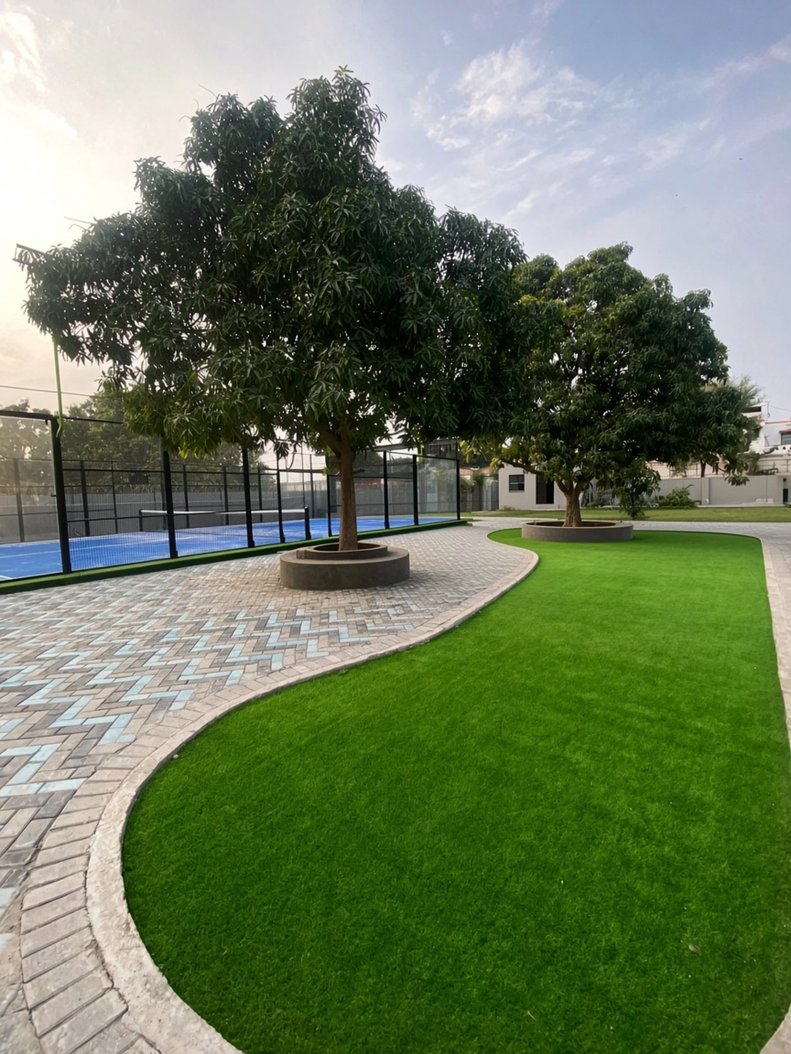 Courtside lawn and trees beside the padel court